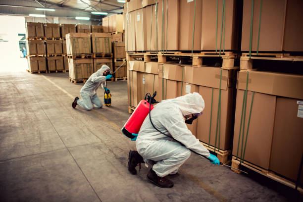 Best Local Pest Control Services  in Trevose, PA