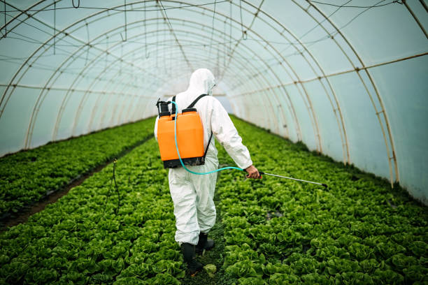 Best Best Pest Control Companies  in Trevose, PA