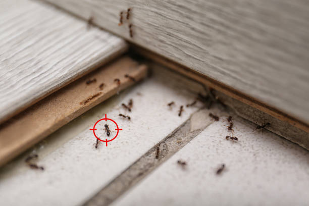 Best Commercial Pest Control Services  in Trevose, PA