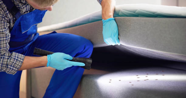 Best Bed Bug Extermination  in Trevose, PA