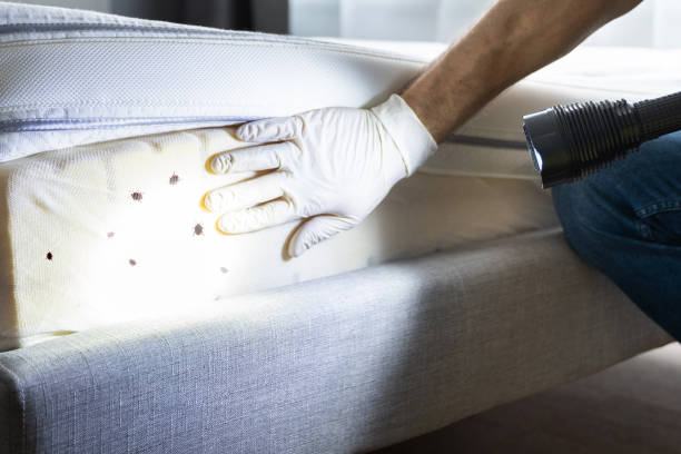 Best Pest Removal Services  in Trevose, PA